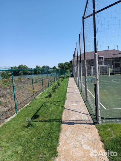 Рулонный газон, посевной газон