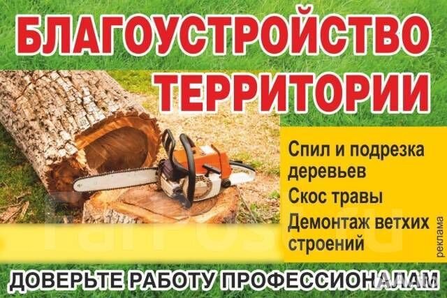 Спил деревьев,расчистка участка,ручная копка,шамбо