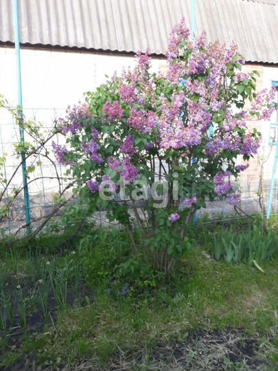 Дача 50,3 м² на участке 6 сот.