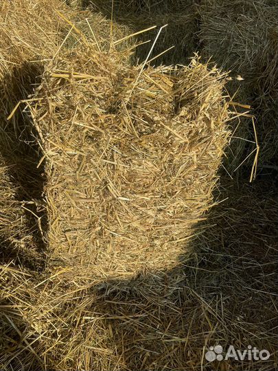 Сено в тюках