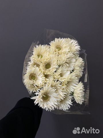 Цветы герберы