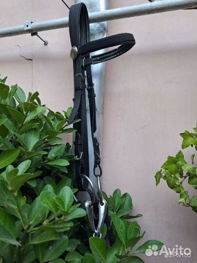 Уздечка для лошади