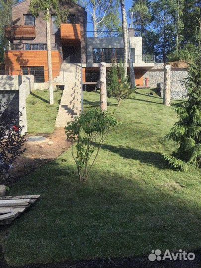 Рулонный газон/продажа/укладка