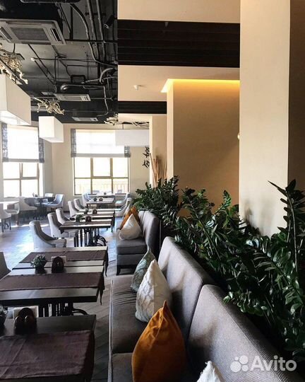 Туры в сочи