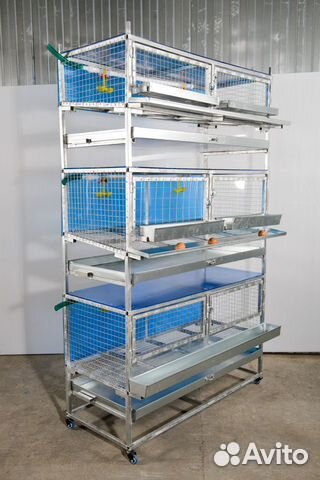 Клетки для кур-несушек