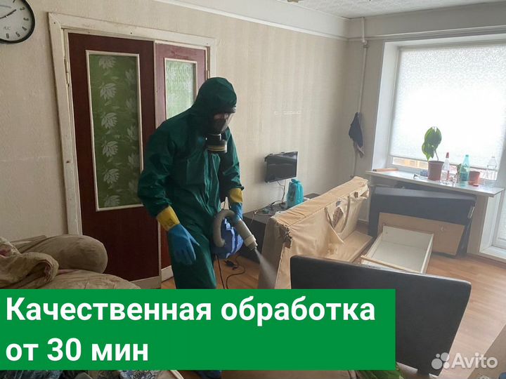 Уничтожение клопов тараканов Обработка от клещей