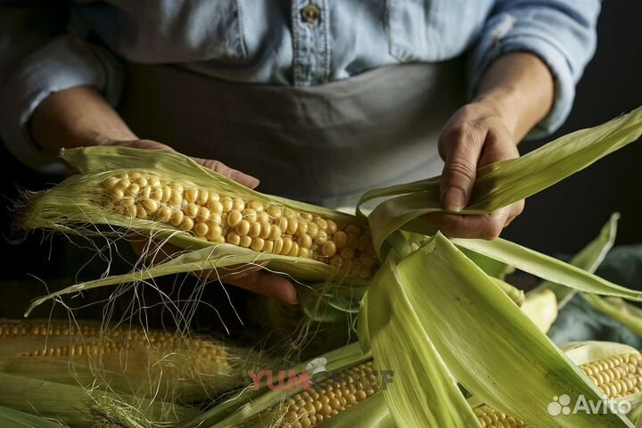 Водитель грузовика и погрузчика