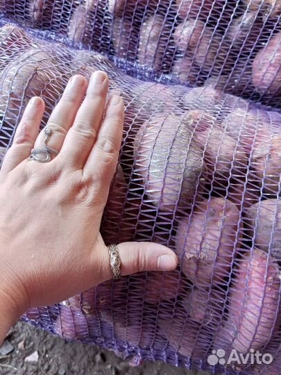 Продам картофель(овощи) опт и розница