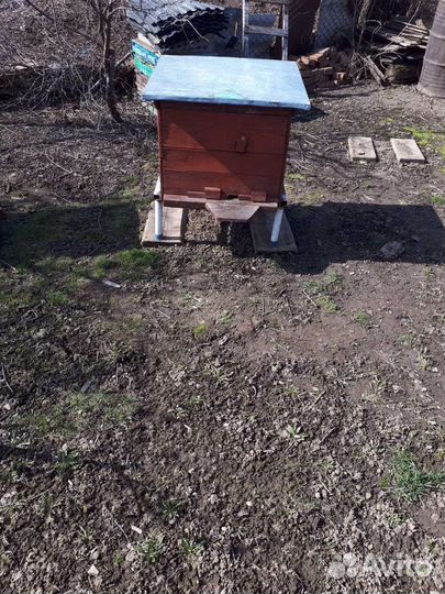 Улей для пчел бу