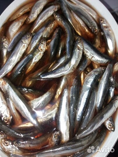 Морепродукты и рыба