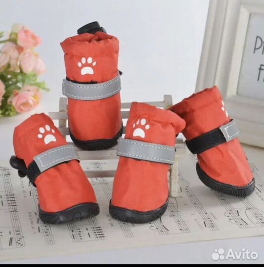 Обувь для собак