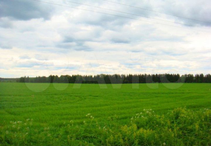 Участок 10 сот. (СНТ, ДНП)