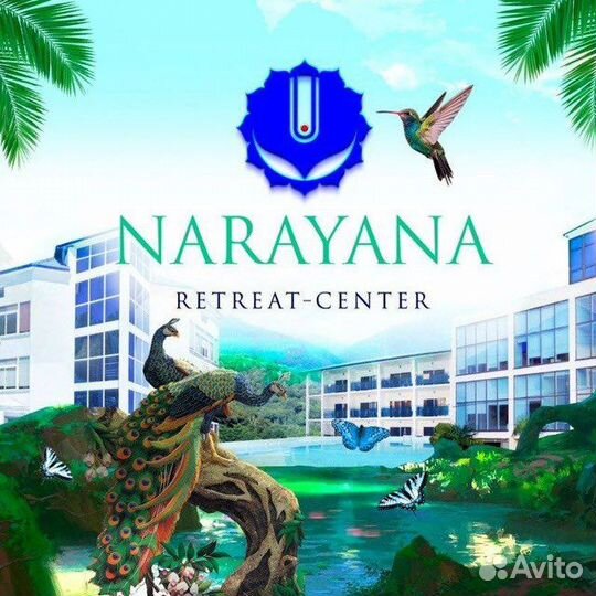 Волонтеры в ретрит-центр (veg-отель)