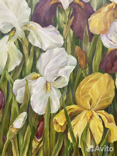 Картина маслом на холсте. Ирисы