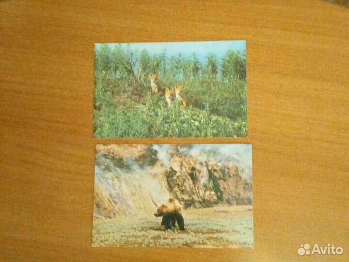 Открытки советские СССР