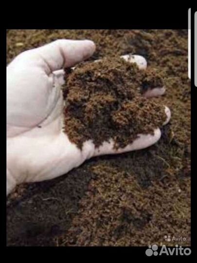 Перегной конский и коровь