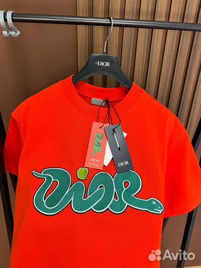 Футболка Dior & Kaws