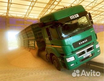 Водитель категории Е (Зерновоз)