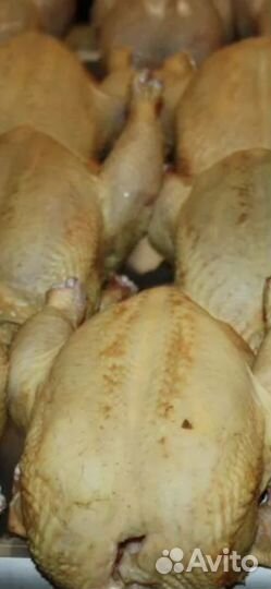 Бройлеры домашние на мясо