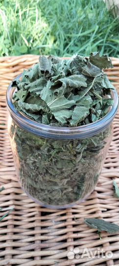 Крапива, листья