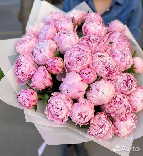 Пионы Цветы Доставка