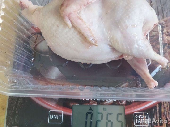 Яйца, мясо перепелов