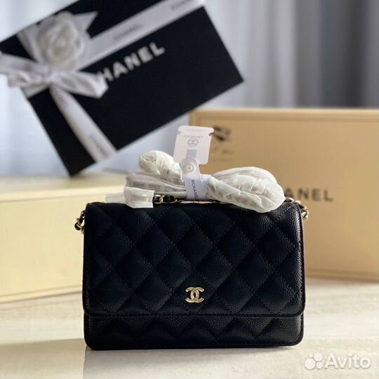 Женская сумка Chanel Из Кожи (2 цвета)