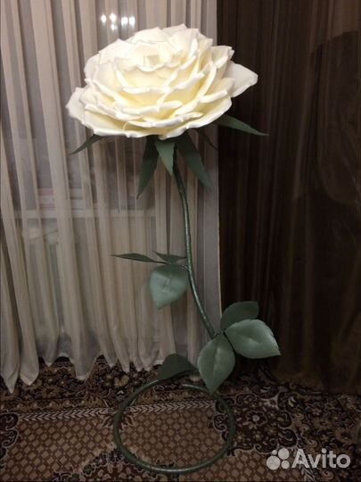 Ростовые розы в наличии и на заказ