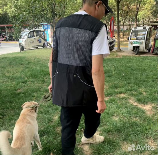 Жилет для дрессировки собак