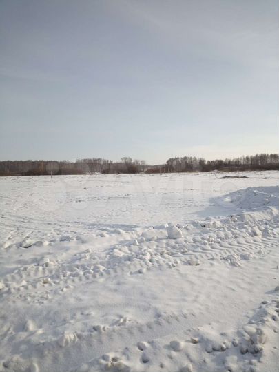 Участок 12 сот. (ИЖС)