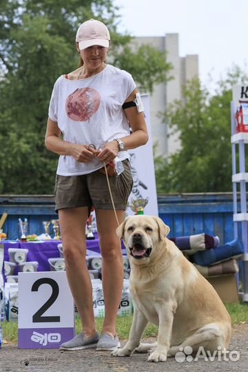 Вязка с Чемпионом