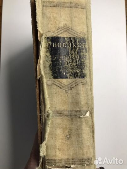 Новиков Пушкин в изгнани