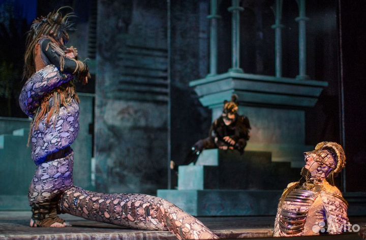 Билеты на спектакль Маугли 1/2