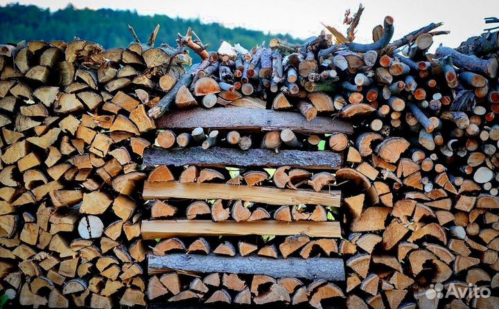 Дрова ольха осина