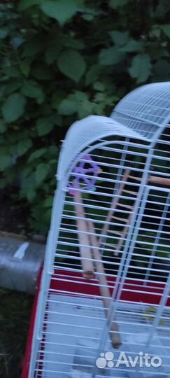 Клетка для большого попугая