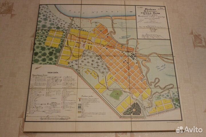 Проект урегулирования города Тары 1861 года