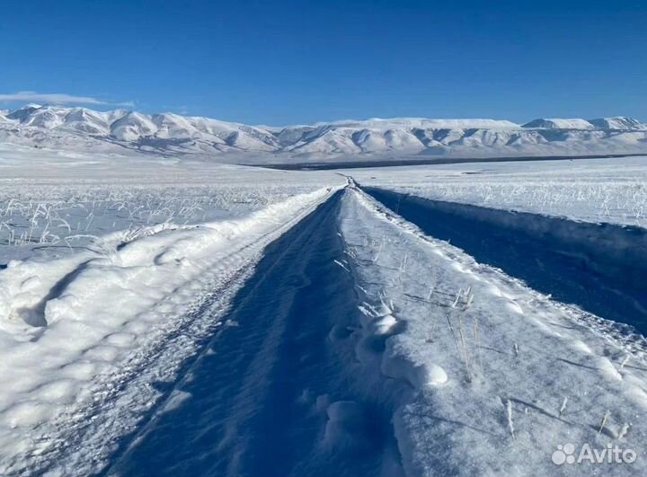 На Алтай зимний турпоездка 5-9 дн