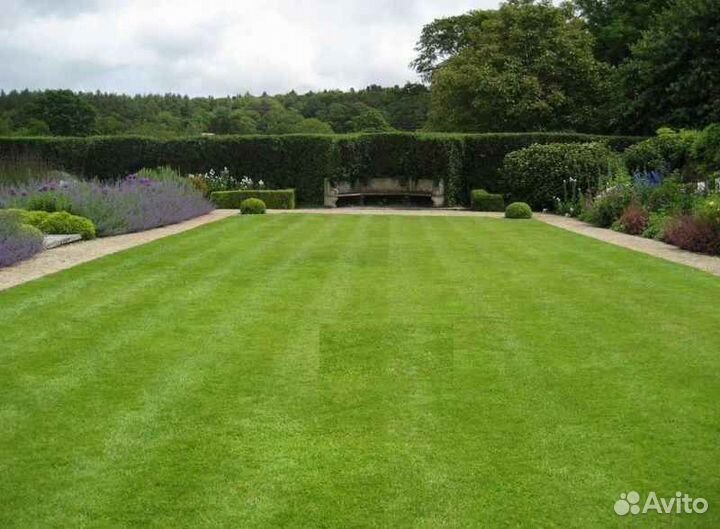 Укладка и продажа газона