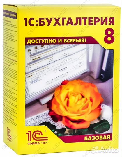 Современная бухгалтерская программа от 1С