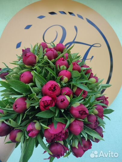 Пионы букет