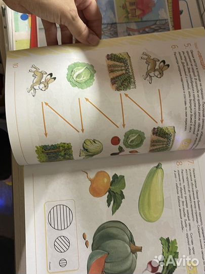 Развивающие пособия
