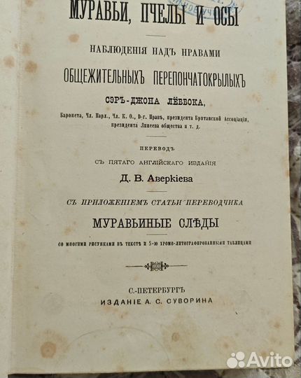 Книга Муравьи, пчелы и осы 1884 г