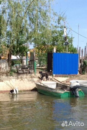 Отдых и Рыбалка в Низовьях (с.Зеленга)