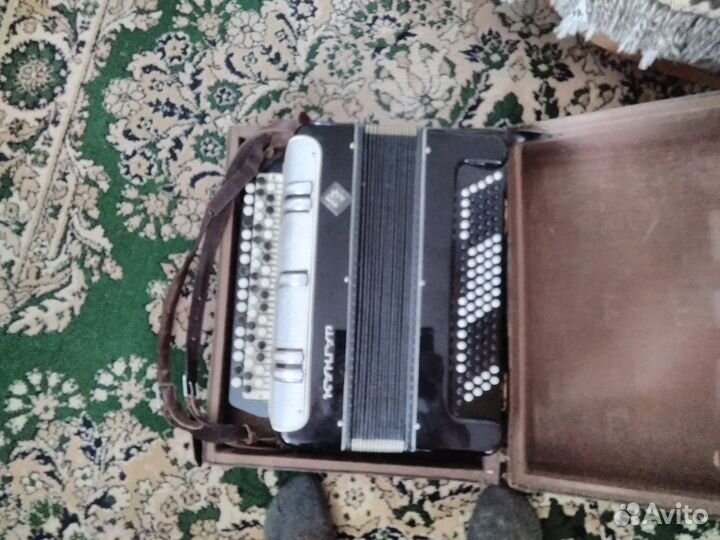 Баян кунгур