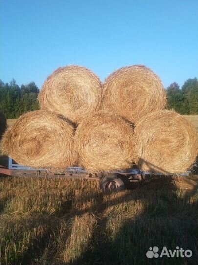 Солома большие рулоны