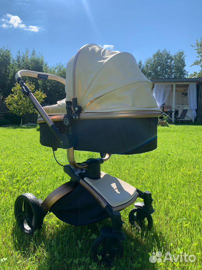 Коляска 2 в 1 Rant Nest