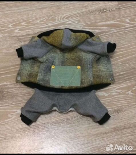 Одежда для собак