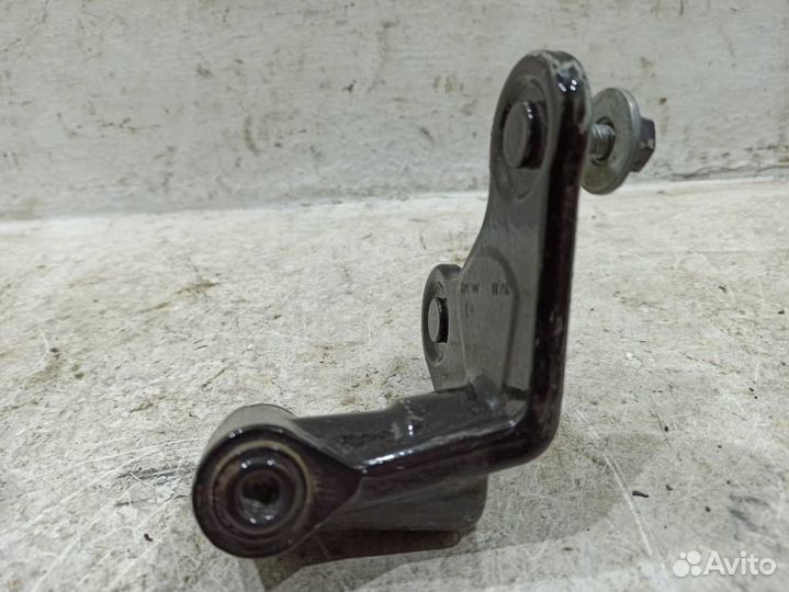 Петля двери задней правой нижняя