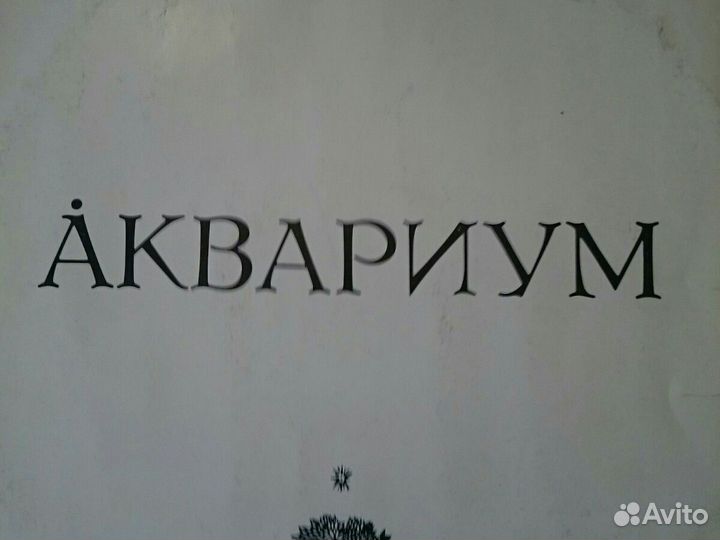 Грамплатинки