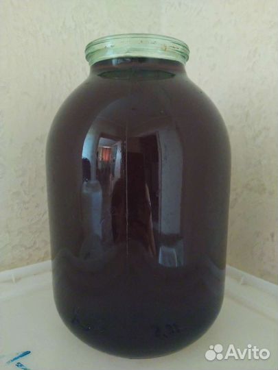 Мед гречишный 2023